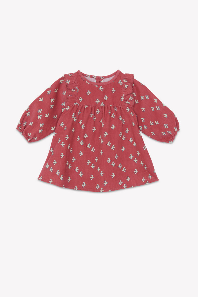 Baby Girls’ Velvet Dress – Pink